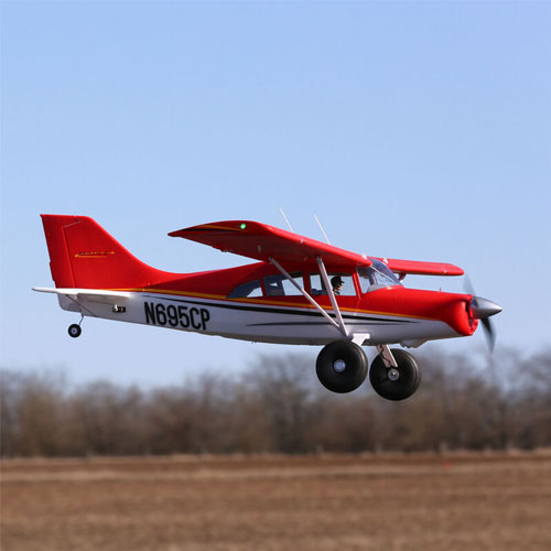 Park Flyer